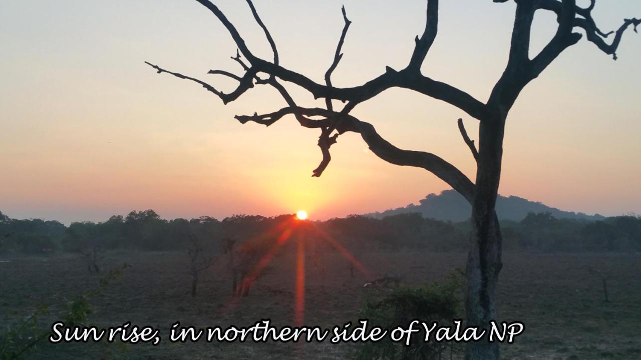 Yala Avian Eye Safari Apartman Buttala Kültér fotó