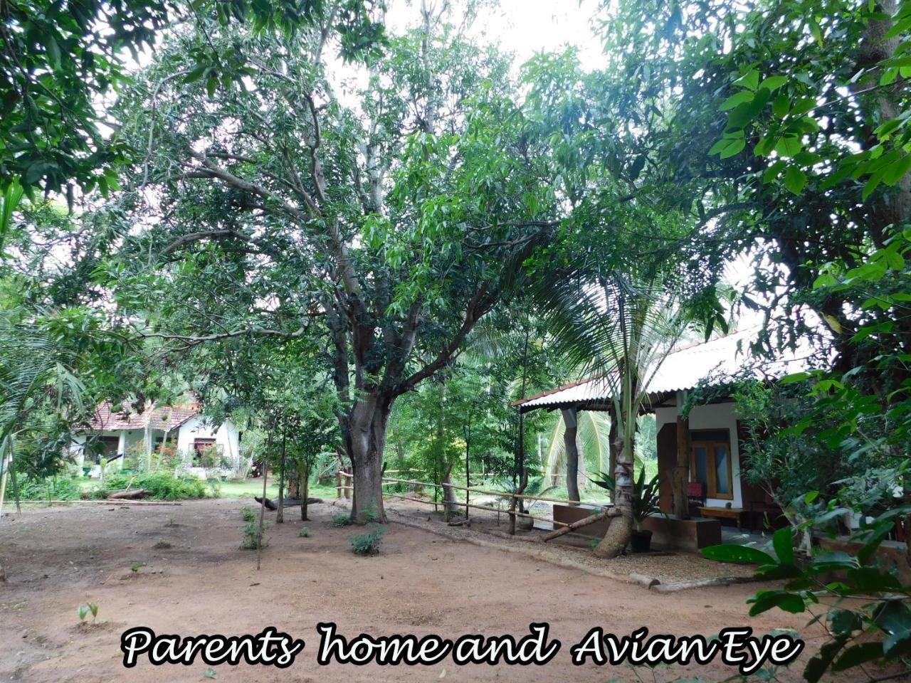 Yala Avian Eye Safari Apartman Buttala Kültér fotó