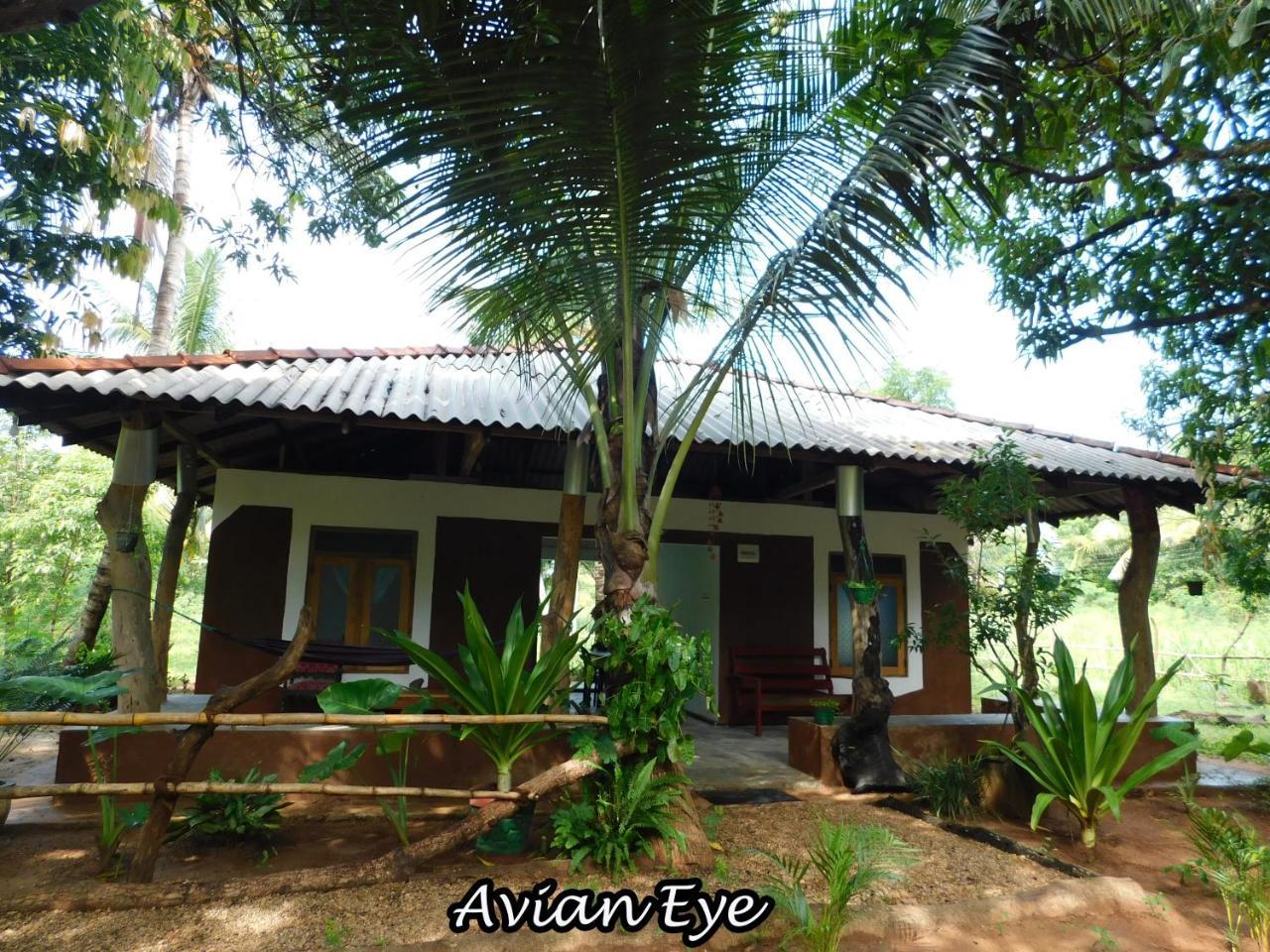 Yala Avian Eye Safari Apartman Buttala Kültér fotó