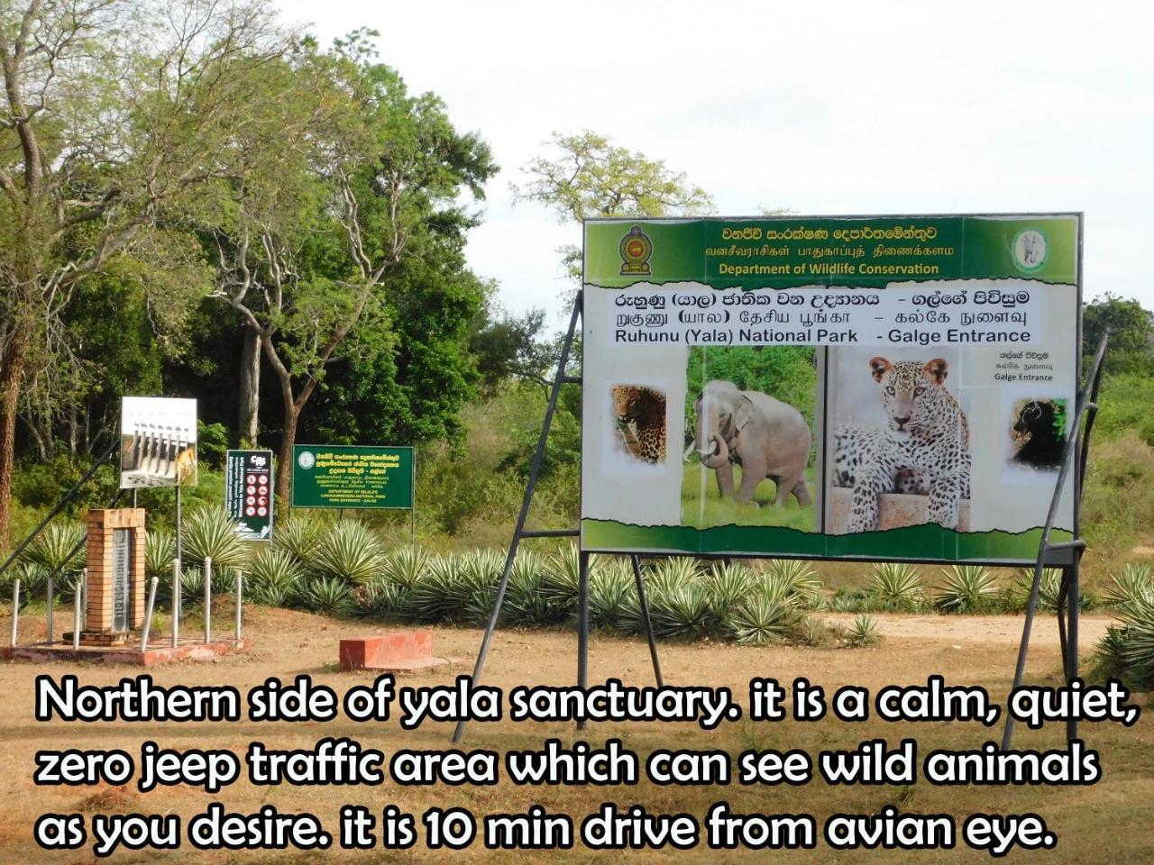 Yala Avian Eye Safari Apartman Buttala Kültér fotó